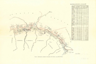 schieramento artiglierie lungo il fronte del Piave